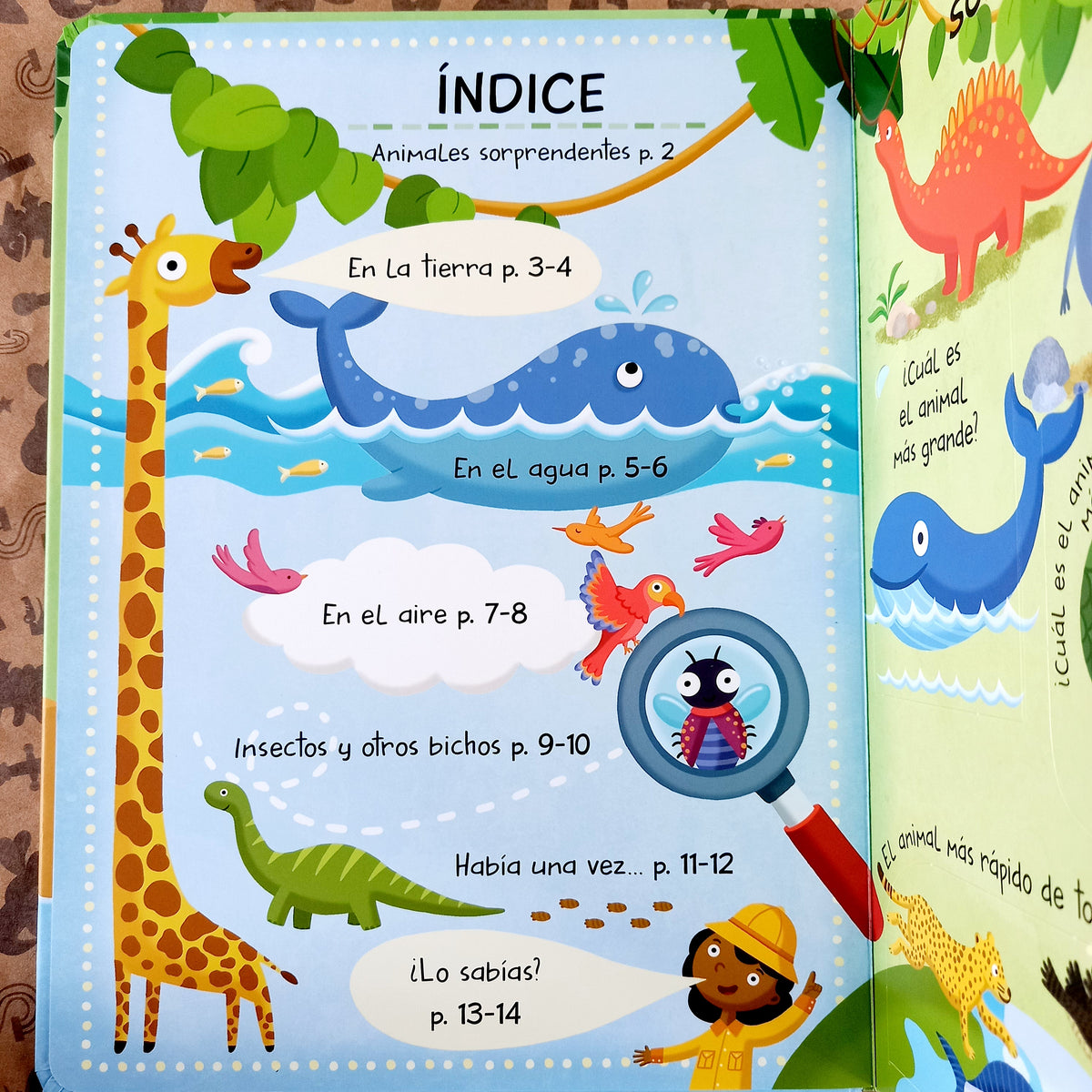 Set 4 Libros Infantiles: Conociendo Los Animales Ver. 2