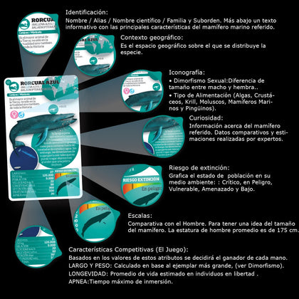 Luminias Mamíferos Marinos